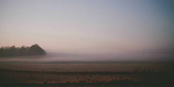 Optimizing Web Accessibility for Public Sector Portals